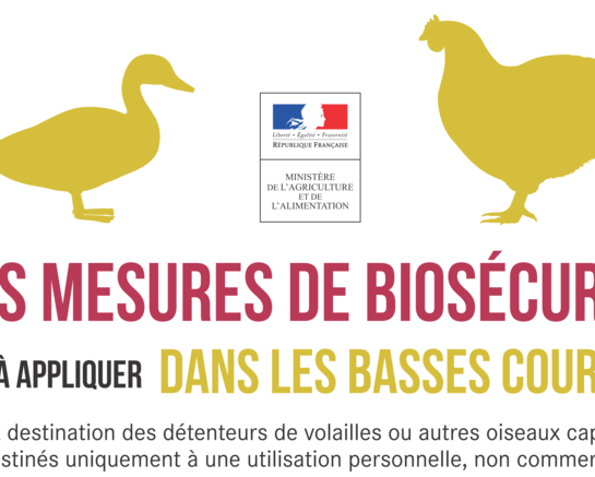 Instructions relatives au risque épizootique vis-à-vis de l'influenza aviaire