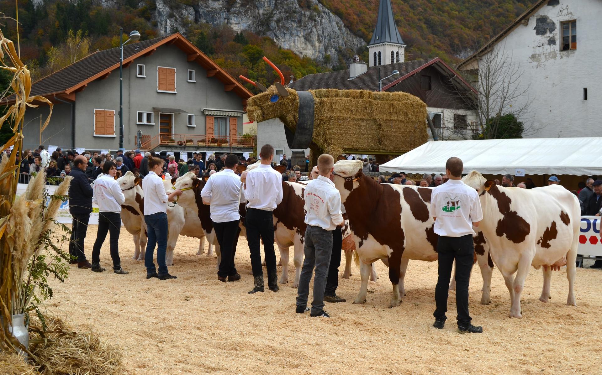 Foire De La Batie La Balme De Sillingy 2022