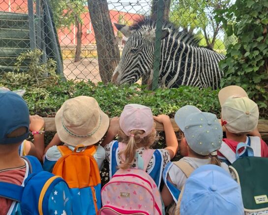 Les vacances d'été se poursuivent à l'accueil de loisirs !