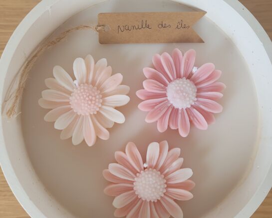 Un nouvel artisan rejoint le marché : bienvenue à Nature & Sens