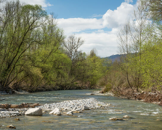 Réduire sa consommation d'eau : adoptons les bons réflexes 