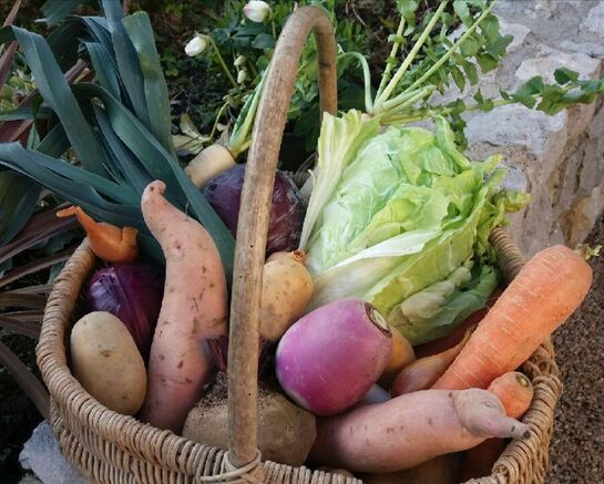 Le CCAS met en place un dispositif de paniers de légumes solidaires