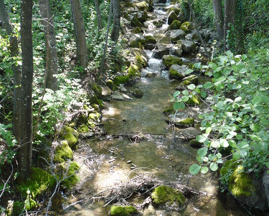 Agissons contre la pollution des eaux