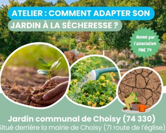 Atelier sur les économies d'eau au jardin 