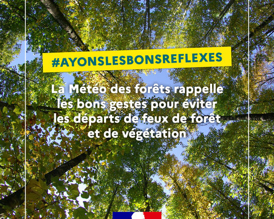  Feux de forêt et de végétation : adoptons les bons réflexes en 2025